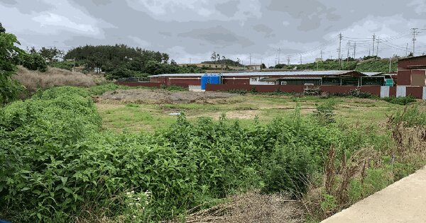 전라남도 무안군 해제면 창매리 887-1  동물 및 식물 관련시설 경매 물건 이미지