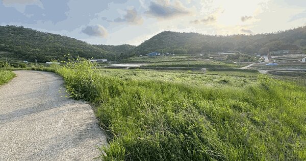 전라남도 신안군 지도읍 봉리 OOO 도로 경매 물건 이미지