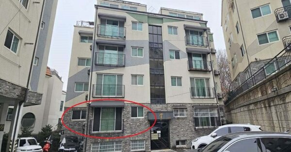 경기도 고양시 일산동구 풍동  225-5 숲빌리지 102동 101호 다세대주택 경매 물건 이미지