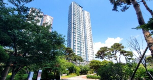 물건 대표 이미지