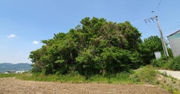 물건 대표 이미지