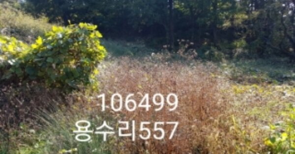 물건 대표 이미지