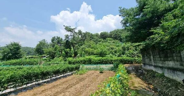 대구광역시 북구 복현동 산12 임야 경매 물건 이미지