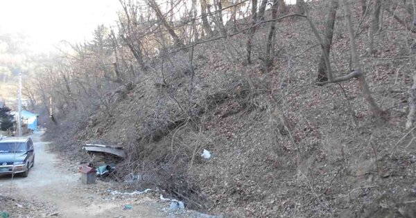 경기도 포천시 내촌면 신팔리 산153  임야 경매 물건 이미지
