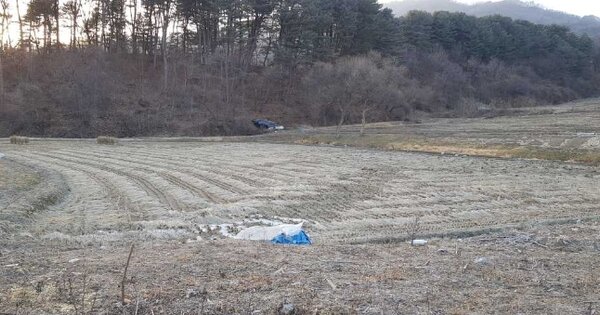 경기도 포천시 내촌면 신팔리 132  답 경매 물건 이미지