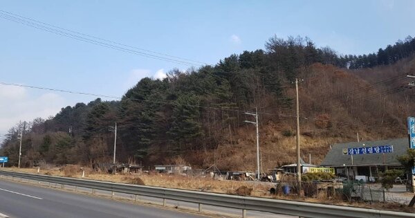 경기도 포천시 내촌면 신팔리 109-3  임야 경매 물건 이미지