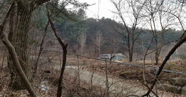경기도 포천시 내촌면 신팔리 산55  임야 경매 물건 이미지