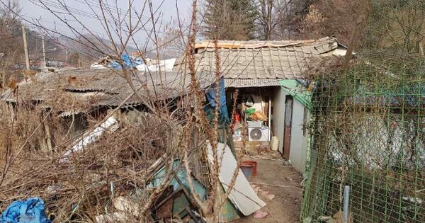 경기도 포천시 내촌면 신팔리 116  대지 경매 물건 이미지