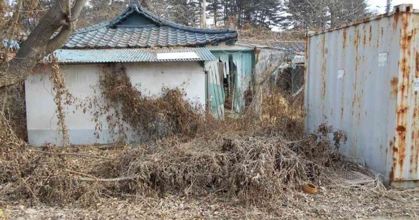 경기도 포천시 내촌면 신팔리 123  대지 경매 물건 이미지