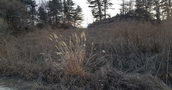 경기도 포천시 내촌면 신팔리 122  대지 경매 물건 이미지