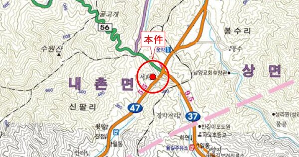 경기도 포천시 내촌면 신팔리 산21  임야 경매 물건 이미지