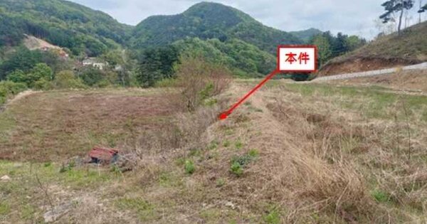 물건 대표 이미지