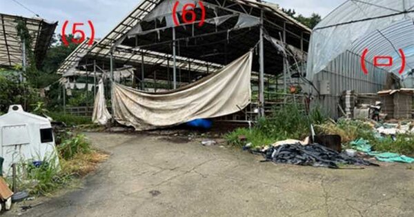 동물 및 식물 관련시설 경매 물건 이미지