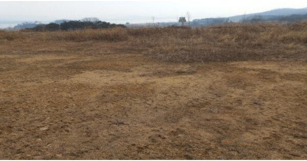 경기도 평택시 현덕면 신왕리 170-33 임야 경매 물건 이미지