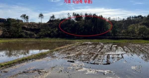 강원특별자치도 속초시 장사동 산234-4 임야 경매 물건 이미지