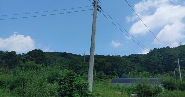 충청남도 금산군 추부면 장대리 56-2 임야 경매 물건 이미지