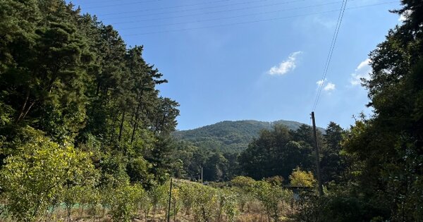 경기도 의정부시 낙양동 산16 임야 경매 물건 이미지