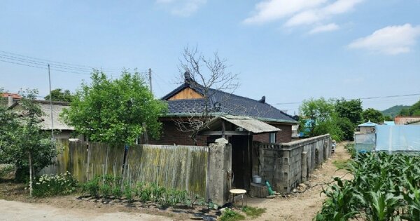 강원특별자치도 철원군 서면 와수리 1363-3 대지 경매 물건 이미지