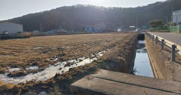 경기도 파주시 탄현면 낙하리 241 답 경매 물건 이미지