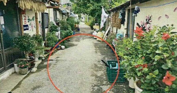 강원특별자치도 강릉시 홍제동 410-1 대지 경매 물건 이미지