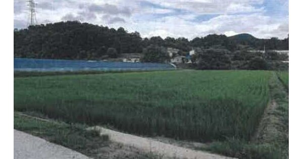 충청북도 음성군 금왕읍 용계리 520 답 경매 물건 이미지