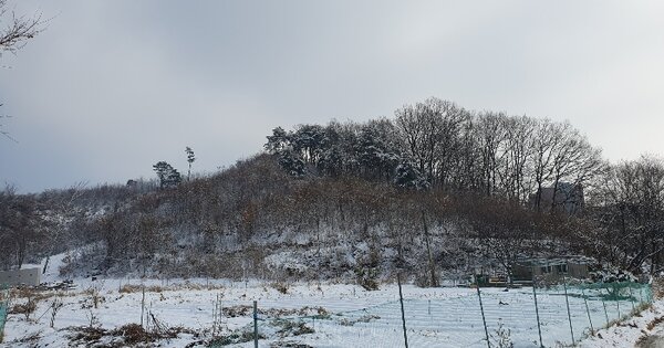 충청북도 충주시 대소원면 검단리 산30-2 임야 경매 물건 이미지