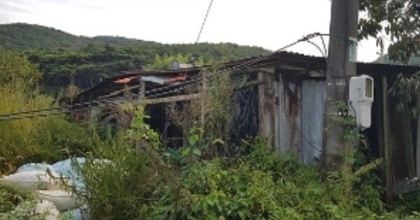 물건 대표 이미지