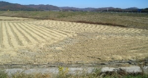 충청남도 청양군 청남면 천내리 831-6  답 경매 물건 이미지