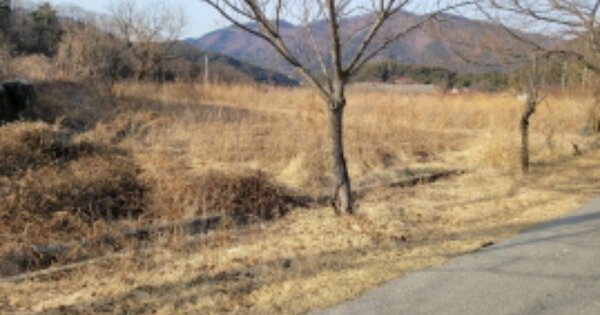 물건 대표 이미지