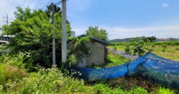 물건 대표 이미지