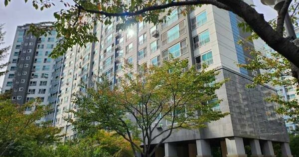 물건 대표 이미지