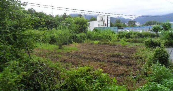 물건 대표 이미지