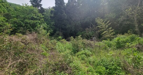 경상남도 창원시 마산합포구 구산면 심리 963 답 경매 물건 이미지