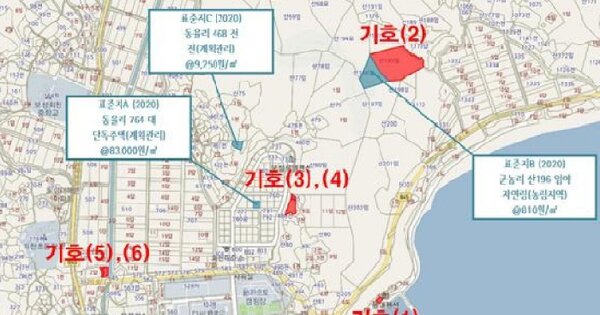 전라남도 보성군 회천면 동율리 485-1 전 경매 물건 이미지