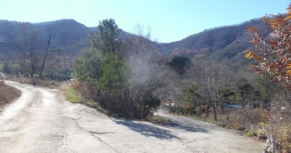경상북도 경주시 산내면 내일리 539-17 전 경매 물건 이미지