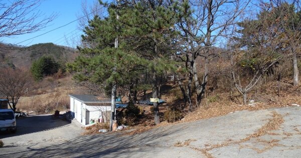 경상북도 경주시 산내면 내일리 539-103 전 경매 물건 이미지