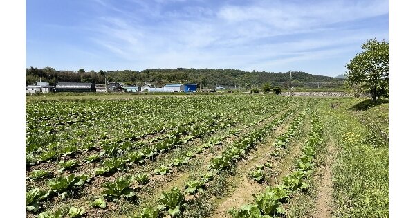 경상남도 사천시 곤양면 송전리 324-1 답 경매 물건 이미지