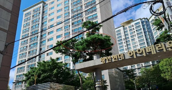 부산광역시 수영구 민락동 266, 102동 6층601호 (민락동,광안현대하이페리온) 아파트 경매 물건 이미지