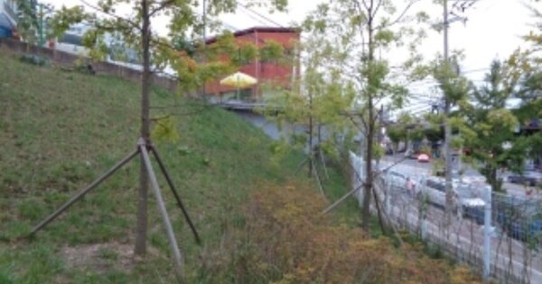 전라북도 전주시 완산구 서서학동 358-23  대지 경매 물건 이미지