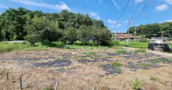 물건 대표 이미지