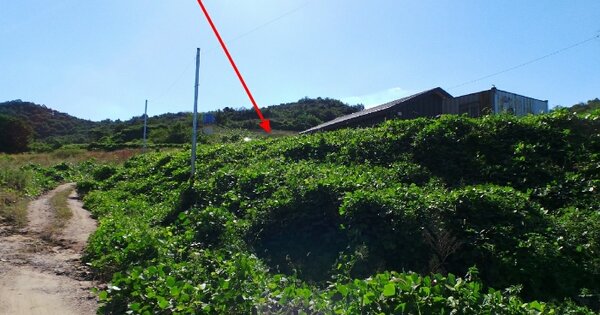 물건 대표 이미지