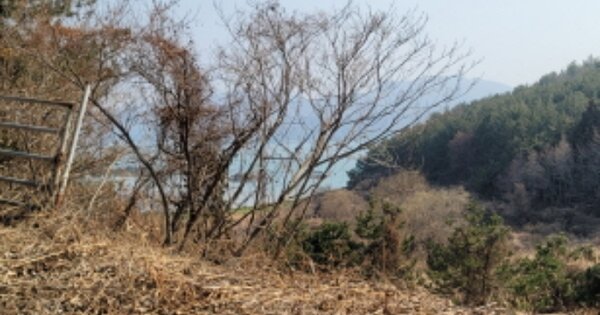 전라남도 고흥군 동일면 봉영리 1092  답 경매 물건 이미지