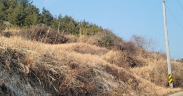 전라남도 고흥군 동일면 봉영리 644  답 경매 물건 이미지