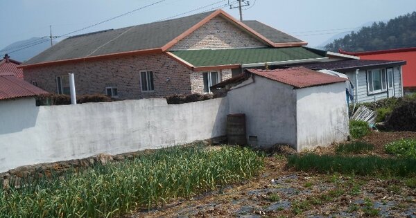 전라남도 완도군 노화읍 노화로 70-2 (제1동) 창고시설 경매 물건 이미지