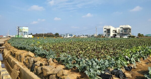 제주특별자치도 제주시 한경면 고산리 3144-2 전 경매 물건 이미지