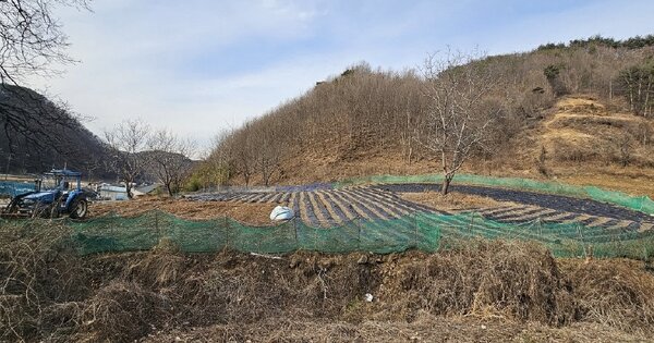 충남 예산군 대술면 이티리 361-1 전 경매 물건 이미지