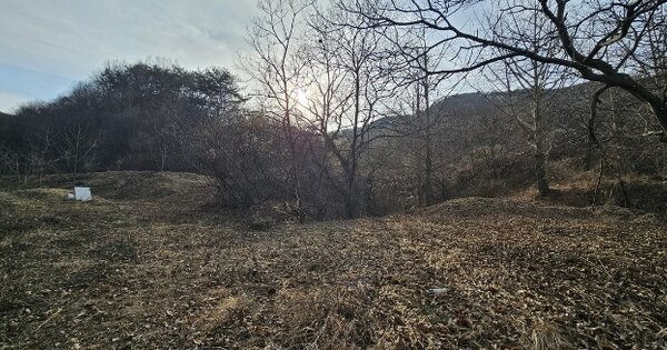 충남 예산군 대술면 이티리 426-1 전 경매 물건 이미지