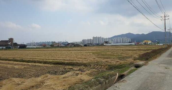 충청남도 아산시 배방읍 구령리 657 답 경매 물건 이미지