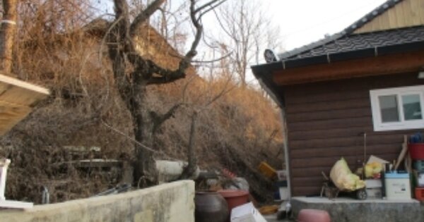 충청북도 보은군 삼승면 원남리 206-3 대지 경매 물건 이미지