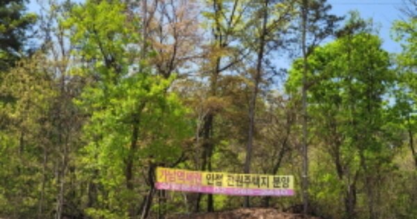 물건 대표 이미지